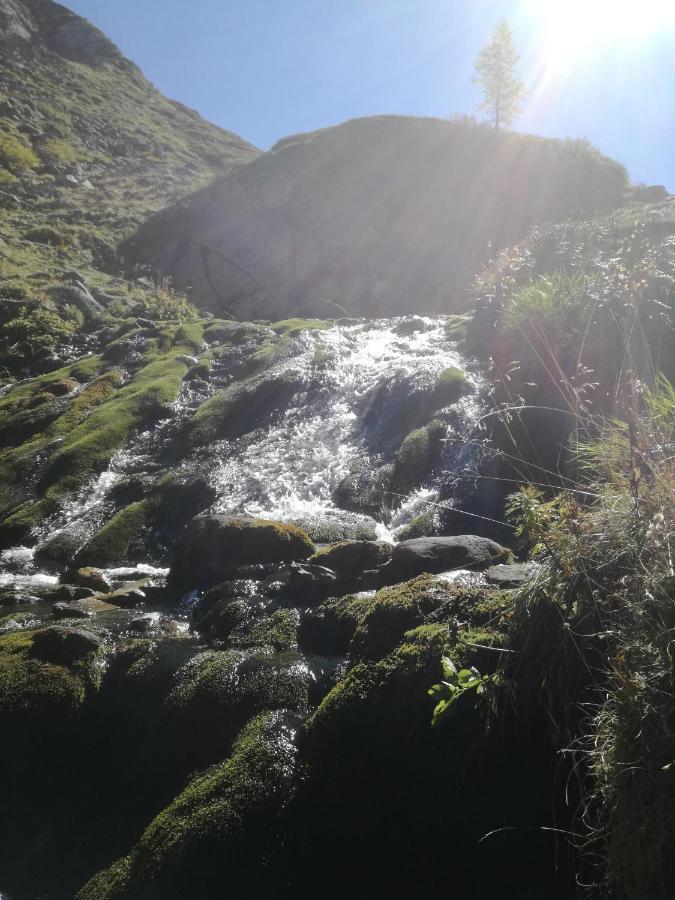 Almdorf Omlach Weisspriach Dış mekan fotoğraf