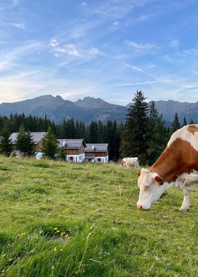 Almdorf Omlach Weisspriach Dış mekan fotoğraf